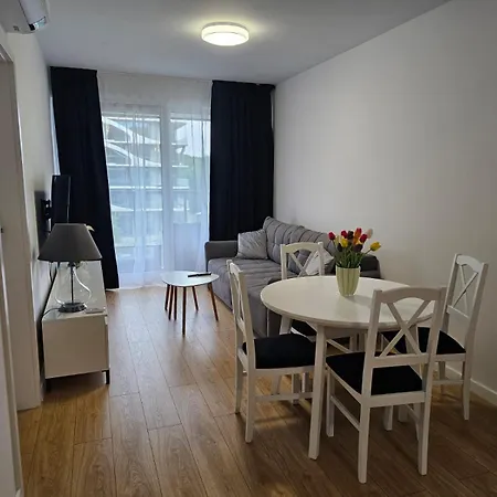 311 Kasprowicza コウォブジェク